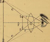 An illustration from Elementos de histología normal y de téchnica micrografica para uso de estudiantes (1897)