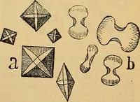 An illustration from Elementos de histología normal y de téchnica micrografica para uso de estudiantes (1897)