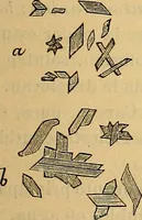 An illustration from Elementos de histología normal y de téchnica micrografica para uso de estudiantes (1897)