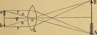 An illustration from Elementos de histología normal y de téchnica micrografica para uso de estudiantes (1897)