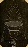 An illustration from Elementos de histología normal y de téchnica micrografica para uso de estudiantes (1897)