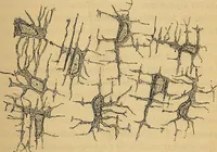 An illustration from Elementos de histología normal y de téchnica micrografica para uso de estudiantes (1897)