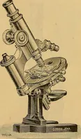 An illustration from Elementos de histología normal y de téchnica micrografica para uso de estudiantes (1897)