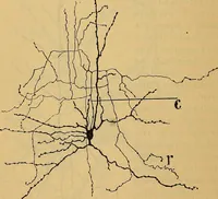 An illustration from Elementos de histología normal y de téchnica micrografica para uso de estudiantes (1897)