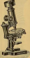 An illustration from Elementos de histología normal y de téchnica micrografica para uso de estudiantes (1897)