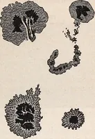 An illustration from Elements of astronomy ... with explanatory notes, and questions for examination (1855)
