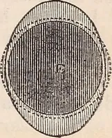An illustration from Elements of astronomy ... with explanatory notes, and questions for examination (1855)