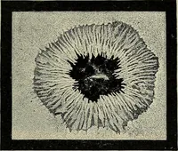 An illustration from The elements of astronomy; a textbook (1919)