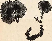 An illustration from Elements of astronomy .. (1870)