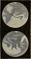 An illustration from Elements of astronomy: accompanied with numerous illustrations, a colored representation of the solar, stellar, and nebular spectra, and celestial charts of the northern and the southern hemisphere (1875)