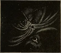 An illustration from Elements of astronomy: accompanied with numerous illustrations, a colored representation of the solar, stellar, and nebular spectra, and celestial charts of the northern and the southern hemisphere (1875)