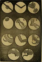 An illustration from Elements of astronomy / (1835)
