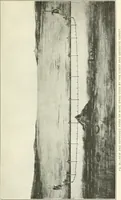 Picture 26 of 33 from Elements of chart making (1916), leaf 76