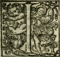 An illustration from The elements of the common lavves of England, branched into a double tract: the one containing A collection of some principall rules and maximes of the common law, with their latitude and extent. Explicated for the more facile introduction of such as are studiously addicted to that noble profession. the other The use of the common law, for preservation of our persons, goods, and good names. According to the lawes and customes of this land (1636)