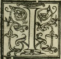 An illustration from The elements of the common lavves of England, branched into a double tract: the one containing A collection of some principall rules and maximes of the common law, with their latitude and extent. Explicated for the more facile introduction of such as are studiously addicted to that noble profession. the other The use of the common law, for preservation of our persons, goods, and good names. According to the lawes and customes of this land (1636)