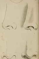 An illustration from The elements of drawing : in its various branches, for the use of students ... containing several hundred examples, from the works of the greatest masters (1827)