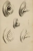 Picture 4 of 44 from The elements of drawing : in its various branches, for the use of students ... containing several hundred examples, from the works of the greatest masters (1827), leaf 115