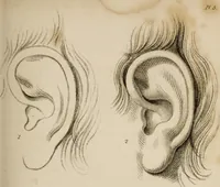 Picture 5 of 44 from The elements of drawing : in its various branches, for the use of students ... containing several hundred examples, from the works of the greatest masters (1827), leaf 121