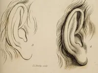 Picture 6 of 44 from The elements of drawing : in its various branches, for the use of students ... containing several hundred examples, from the works of the greatest masters (1827), leaf 121
