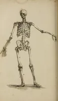 Picture 16 of 44 from The elements of drawing : in its various branches, for the use of students ... containing several hundred examples, from the works of the greatest masters (1827), leaf 160
