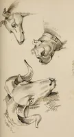 An illustration from The elements of drawing : in its various branches, for the use of students ... containing several hundred examples, from the works of the greatest masters (1827)