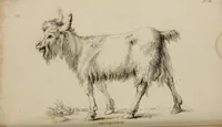 Picture 24 of 44 from The elements of drawing : in its various branches, for the use of students ... containing several hundred examples, from the works of the greatest masters (1827), leaf 184