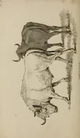 Picture 28 of 44 from The elements of drawing : in its various branches, for the use of students ... containing several hundred examples, from the works of the greatest masters (1827), leaf 196