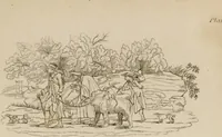 Picture 29 of 44 from The elements of drawing : in its various branches, for the use of students ... containing several hundred examples, from the works of the greatest masters (1827), leaf 199