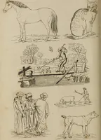 Picture 31 of 44 from The elements of drawing : in its various branches, for the use of students ... containing several hundred examples, from the works of the greatest masters (1827), leaf 202