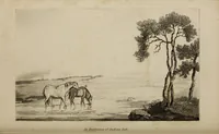 Picture 37 of 44 from The elements of drawing : in its various branches, for the use of students ... containing several hundred examples, from the works of the greatest masters (1827), leaf 220
