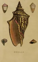Picture 44 of 44 from The elements of drawing : in its various branches, for the use of students ... containing several hundred examples, from the works of the greatest masters (1827), leaf 254