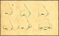 Picture 4 of 48 from Elements of drawing exemplified in a variety of figures and sketches of parts of the human form (1814), leaf 14