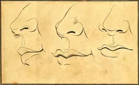Picture 5 of 48 from Elements of drawing exemplified in a variety of figures and sketches of parts of the human form (1814), leaf 14
