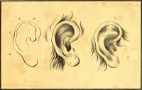 Picture 11 of 48 from Elements of drawing exemplified in a variety of figures and sketches of parts of the human form (1814), leaf 22