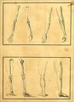 Picture 30 of 48 from Elements of drawing exemplified in a variety of figures and sketches of parts of the human form (1814), leaf 42