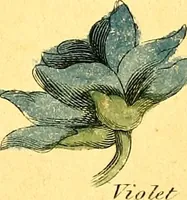 Picture 44 of 48 from Elements of drawing exemplified in a variety of figures and sketches of parts of the human form (1814), leaf 58