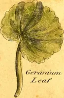 Picture 45 of 48 from Elements of drawing exemplified in a variety of figures and sketches of parts of the human form (1814), leaf 58