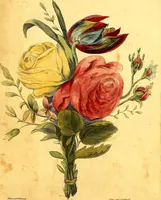 Picture 48 of 48 from Elements of drawing exemplified in a variety of figures and sketches of parts of the human form (1814), leaf 60