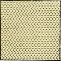 An illustration from Elements of drawing (1912)