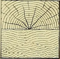 An illustration from Elements of drawing (1912)