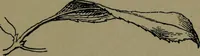 An illustration from The elements of drawing in three letters to beginners (1898)