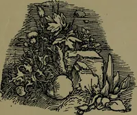 An illustration from The elements of drawing in three letters to beginners (1898)