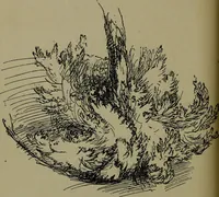 An illustration from The elements of drawing in three letters to beginners (1898)