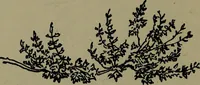 An illustration from The elements of drawing in three letters to beginners (1898)