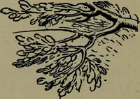 An illustration from The elements of drawing in three letters to beginners (1898)