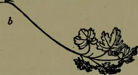 An illustration from The elements of drawing in three letters to beginners (1898)