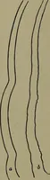 An illustration from The elements of drawing in three letters to beginners (1898)