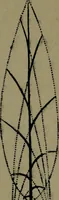 An illustration from The elements of drawing in three letters to beginners (1898)