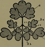 An illustration from The elements of drawing in three letters to beginners (1898)