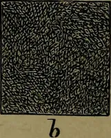 An illustration from The elements of drawing in three letters to beginners (1898)